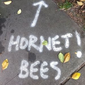 Meet your Posher, Kells